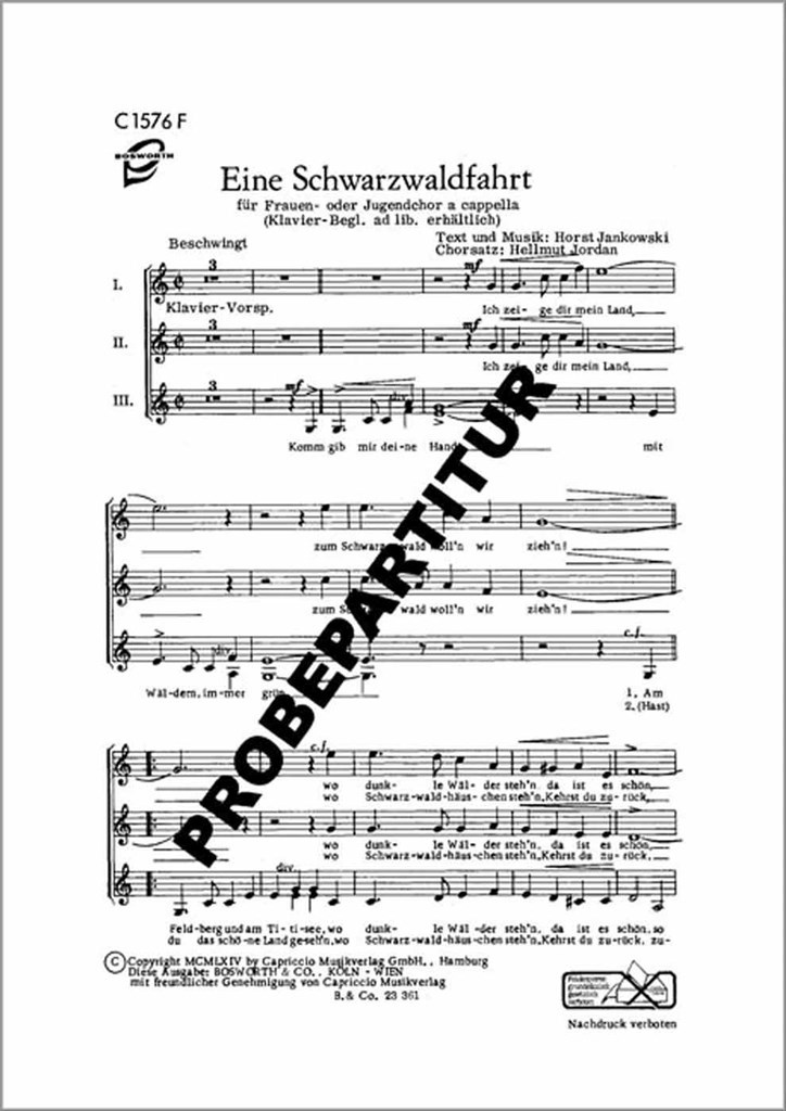 Eine Schwarzwaldfahrt